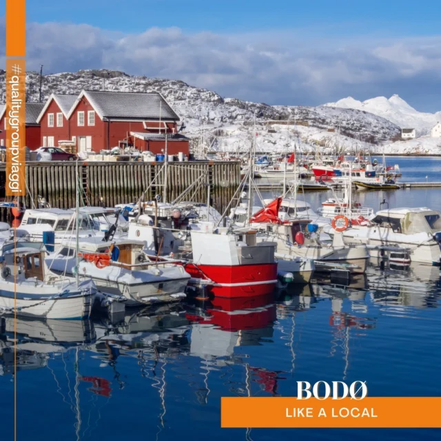 Appena sopra il Circolo Polare Artico, Bodø aprirà le porte a meravigliosi scenari costieri della #Norvegia, offrendo avventure nella natura e un assaggio delle tradizioni tipiche di queste latitudini.

La città, quasi interamente distrutta durante la Seconda Guerra Mondiale, si è reinventata come centro moderno e culturalmente vivace con la scenografica Concert Hall e la ricca biblioteca 📖 che ricorda un libro aperto. Tra le attrazioni principali spicca il Norwegian Aviation Museum ✈️, che celebra la storia aeronautica della città con pezzi unici.

🐟 La gastronomia locale punta sugli ingredienti a km 0 in ristoranti come Bryggerikaia e LystPå, che servono eccellente pesce fresco. Per una pausa rigenerante, prova la sauna galleggiante Pust 🧖‍♂️, perfetta per rilassarsi ammirando il paesaggio #likealocal.

🦌 Immergiti nella storia e rituali del popolo Sami, partecipando a un’escursione che include l’incontro ravvicinato con le renne, i canti tradizionali e un pasto attorno al 🔥 fuoco. Un’atmosfera intima che si ritroverà anche a Tuvsjyen, dove farai un salto indietro nel tempo fino all’età della pietra, partecipando alla preparazione di piatti realizzati con tecniche ancestrali.

🌊 A pochi chilometri da Bodø, il Saltstraumen è il gorgo marino più potente al mondo, dove le maree creano vortici spettacolari 😯. Dal lungomare ci sono ottimi punti per osservarlo, ma per un'esperienza più intensa, scegli l'escursione in gommone RIB.

✨ E se aggiungessimo anche la possibilità di ammirare l'aurora boreale? Potresti vivere un viaggio straordinario anche in un solo weekend lungo. Passa in Agenzia e progettiamolo insieme!

#MyNorwayStories #prenotainagenzia #qualitygroupviaggi #auroraboreale  #NordEuropa #viaggidigruppo #almenounavoltanellavita  #visitbodo