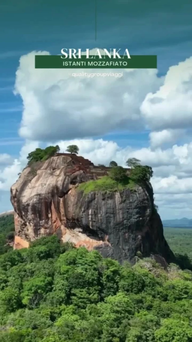 Mille scalini verso il cielo dello #SriLanka 😮

La salita è intensa, ma ogni passo vale la fatica che ti porterà a raggiungere la sommità della formazione rocciosa nota come Lion Rock, custode dell'antico palazzo di #Sigiriya, costruito durante il regno di re Kasyapa.

Da quasi quattrocento metri di altezza, questa massiccia placca magmatica, eredità di un vulcano eroso, domina la pianura circostante, visibile anche a chilometri di distanza. Una vista che si perde in un orizzonte infinito di foreste, laghi e templi millenari 🌄

🇱🇰 Uno dei siti Patrimonio UNESCO più iconici del paese, le cui rovine furono scoperte solo nel 1907 dall’esploratore britannico John Still, oggi è considerato da alcuni l'ottava meraviglia del mondo.

✨ Unisciti a noi per un’esperienza unica: alla discesa, ogni sforzo sarà ripagato con una fresca e deliziosa selezione di frutta tropicale 🍍🍉

#istantimozzafiato #VisitSriLanka #prenotainagenzia #qualitygroupviaggi #collectingmoments #youwillcomebackformore #worldheritagesites #sigiriyarockfortress #viaggidigruppo